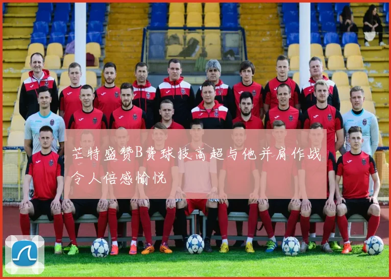 芒特盛赞B费球技高超与他并肩作战令人倍感愉悦
