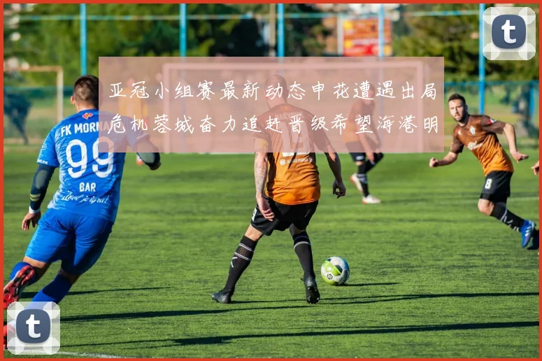 亚冠小组赛最新动态申花遭遇出局危机蓉城奋力追赶晋级希望海港明日迎战挑战