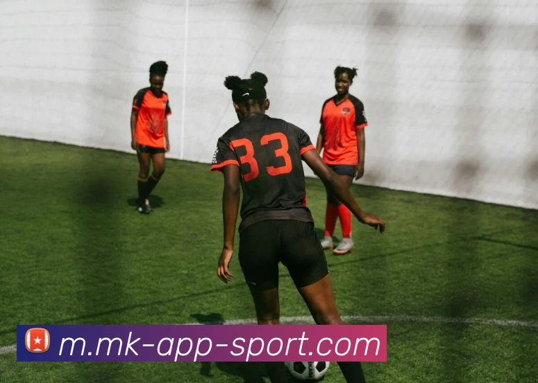 MK体育平台生态图