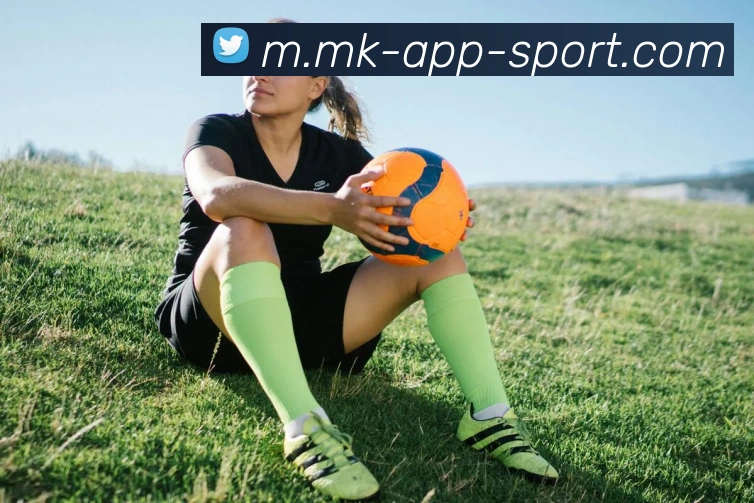 MK体育APP 封面图